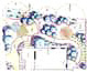 Plan Berlin Lankwitz